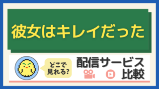 「彼女はキレイだった」はどこで見れる？配信サービス比較