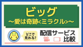 『ビッグ~愛は奇跡〈ミラクル〉~』はどこで見れる?配信サービス比較