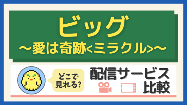 『ビッグ~愛は奇跡〈ミラクル〉~』はどこで見れる?配信サービス比較