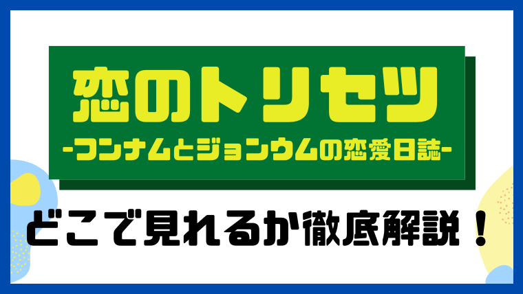 恋のトリセツ -フンナムとジョンウムの恋愛日誌-