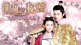 寵妃の秘密 ~私の中の二人の妃~
