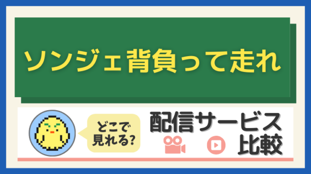「ソンジェ背負って走れ」はどこで見れる？配信サービス比較