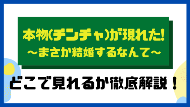 本物(チンチャ)が現れた!