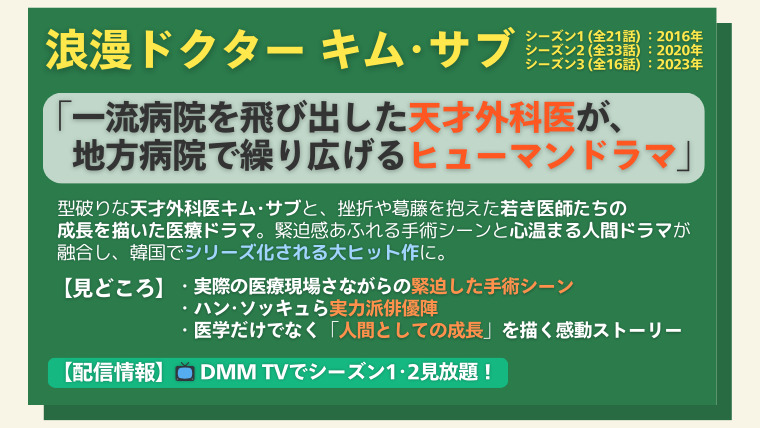 「浪漫ドクター キム・サブ」の簡単な紹介